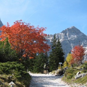 2007_09_falkenhuette_bild_5