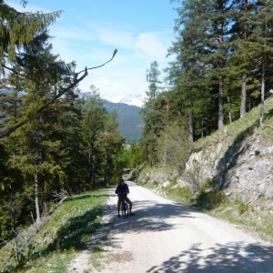 2008_05_sojern_bild_1 2008_05_sojern_bild_1