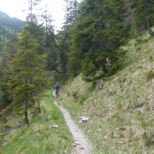 2008_05_sojern_bild_6 2008_05_sojern_bild_6