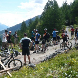 2009_07_vinschgau_bild_1.2 2009_07_vinschgau_bild_1.2