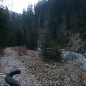 2010_04_kruener_alm_bild_5