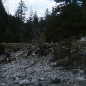 2010_04_kruener_alm_bild_6