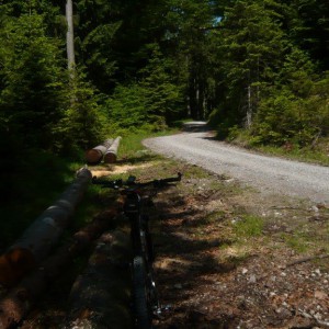 2010_06_heimgarten_bild_1 2010_06_heimgarten_bild_1