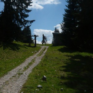 2010_06_heimgarten_bild_4 2010_06_heimgarten_bild_4