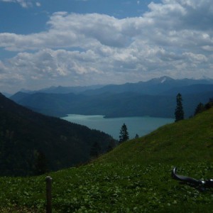 2010_06_heimgarten_bild_5 2010_06_heimgarten_bild_5