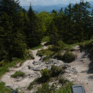 2010_06_heimgarten_bild_6 2010_06_heimgarten_bild_6