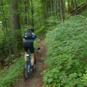 2010_06_kreuth_bild_5 2010_06_kreuth_bild_5