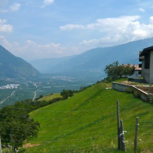 2010_06_vinschgau_bild_1.2 2010_06_vinschgau_bild_1.2