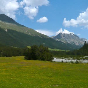 2010_06_vinschgau_bild_3.6 2010_06_vinschgau_bild_3.6