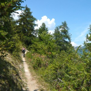 2010_06_vinschgau_bild_4.6 2010_06_vinschgau_bild_4.6