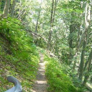 2010_07_piemont_bild_3.2 2010_07_piemont_bild_3.2