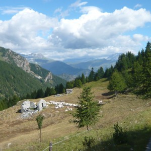 2010_07_piemont_bild_4.1 2010_07_piemont_bild_4.1