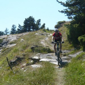 2010_07_piemont_bild_6.4 2010_07_piemont_bild_6.4