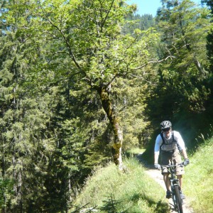 2010_08_enningalm_bild_6 2010_08_enningalm_bild_6