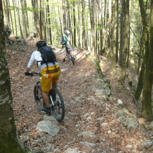 2011_04_aschau_bild_6 2011_04_aschau_bild_6