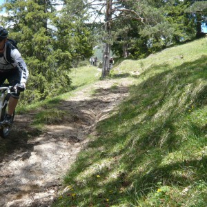 2011_05_achensee_bild_4 2011_05_achensee_bild_4