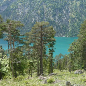 2011_05_achensee_bild_6 2011_05_achensee_bild_6