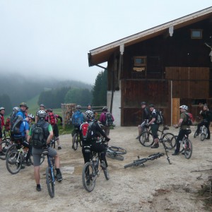 2011_05_hochfelln_bild_2