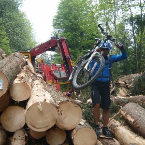 2011_05_hochfelln_bild_3