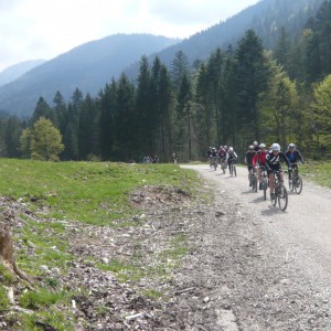 2011_05_hochfelln_bild_5