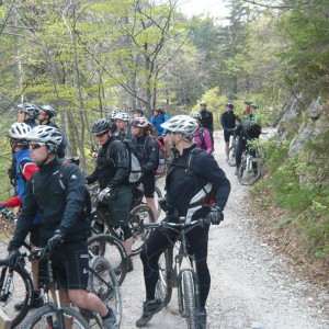 2011_05_hochfelln_bild_6