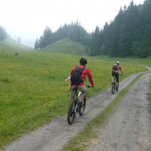 2011_06_hochries_bild_2 2011_06_hochries_bild_2