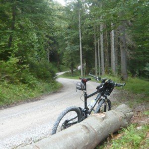 2011_09_hirschberg_bild_3