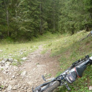 2011_09_hirschberg_bild_4