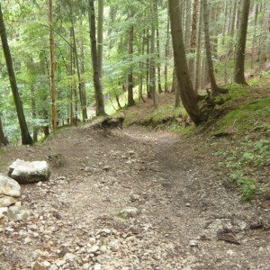 2011_09_hirschberg_bild_6