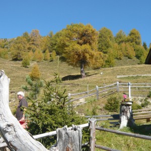 2011_10_vinschgau_bild_1.4