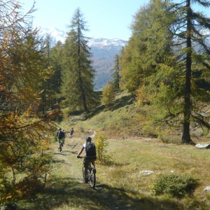 2011_10_vinschgau_bild_2.5