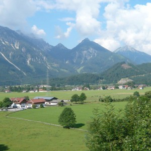 2008_07_saeuling_bild_1 2008_07_saeuling_bild_1