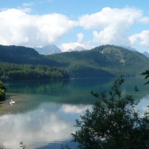 2008_07_saeuling_bild_2 2008_07_saeuling_bild_2