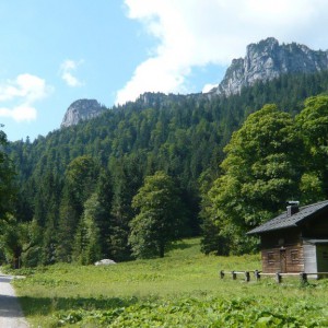 2008_07_saeuling_bild_3 2008_07_saeuling_bild_3