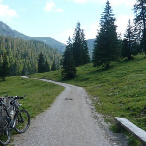 2008_07_saeuling_bild_4 2008_07_saeuling_bild_4