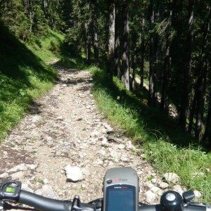 2008_07_saeuling_bild_5 2008_07_saeuling_bild_5