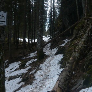 2010_04_kreuth_bild_4 2010_04_kreuth_bild_4