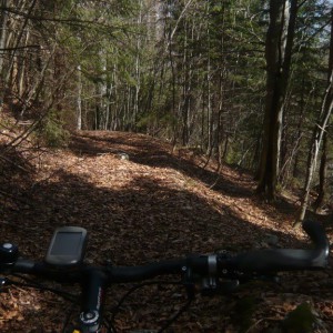 2010_04_kreuth_bild_5 2010_04_kreuth_bild_5