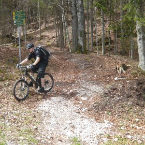 2012_04_eibsee_bild_4