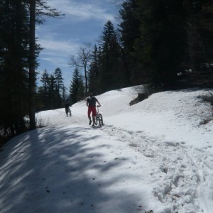 2012_04_staffelalm_bild_2 2012_04_staffelalm_bild_2