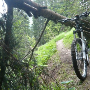 2012_06_kramer_bild_3 2012_06_kramer_bild_3