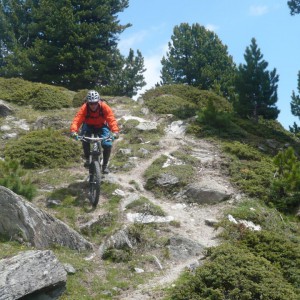 rabe-trails-2012_bild_1.5