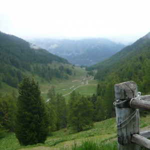 rabe-trails-2012_bild_3.5