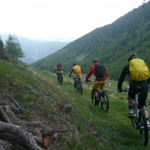 rabe-trails-2012_bild_3.6