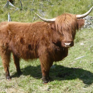 2012_07_freeride_camp_bild_3.4