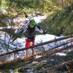 2014_11_rotmoos_bild_1 2014_11_rotmoos_bild_1