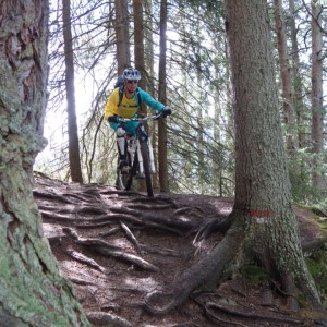 2013_10_endofseason_bild_4.2