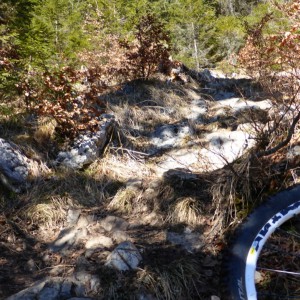 2014_03_schafkopf_bild_1