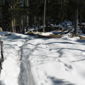 2014_03_schafkopf_bild_3