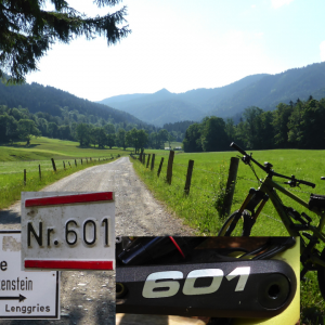 2014_06_fockenstein_bild_1